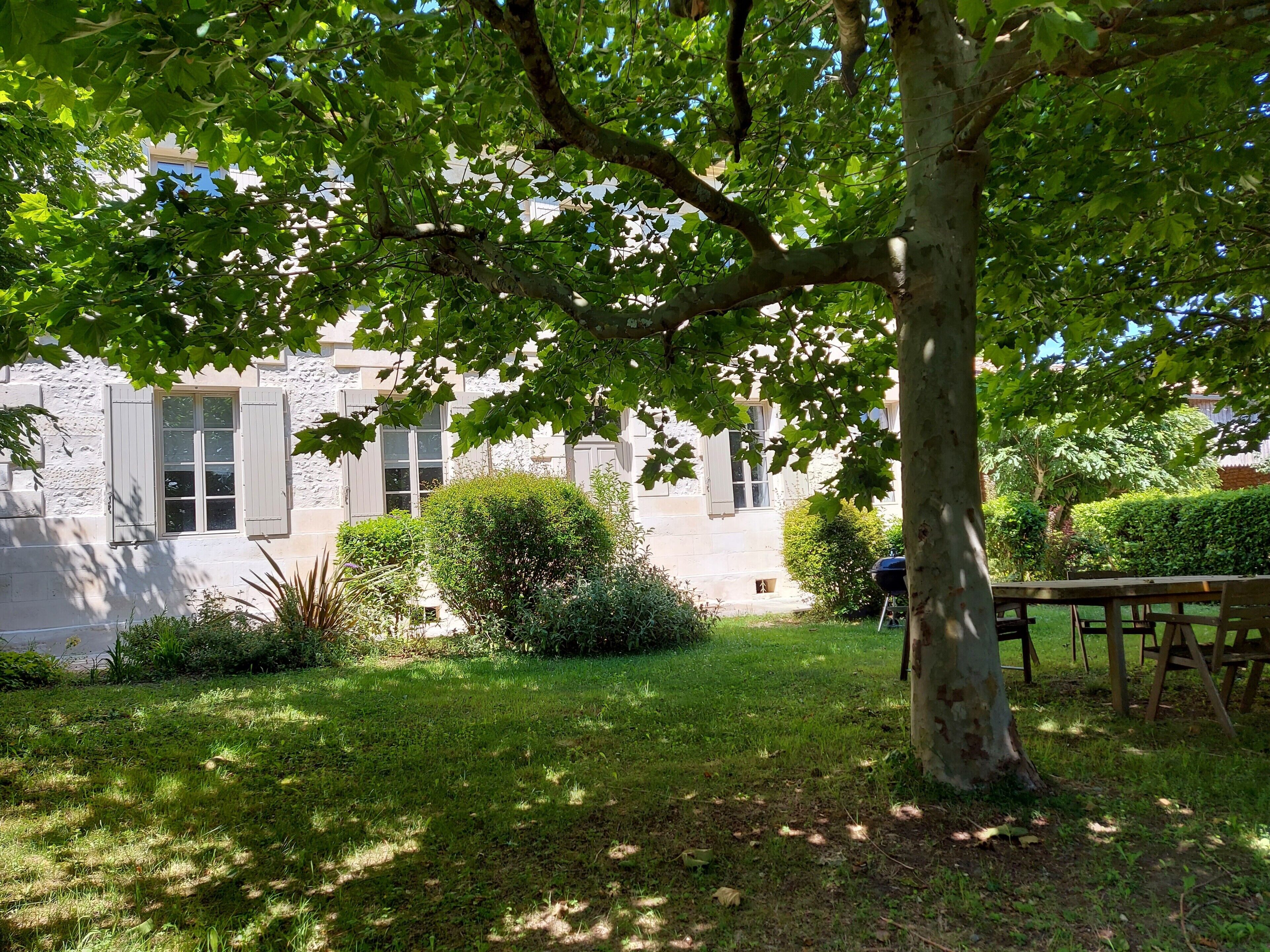 A tree-lined courtyard with a stone building, a wooden bench, and a grill.