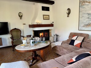 TV, fireplace - Large house in Provence, terrace and fireplace (Caumont-sur-Durance)