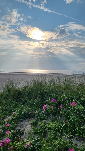 Vlak bij het strand
