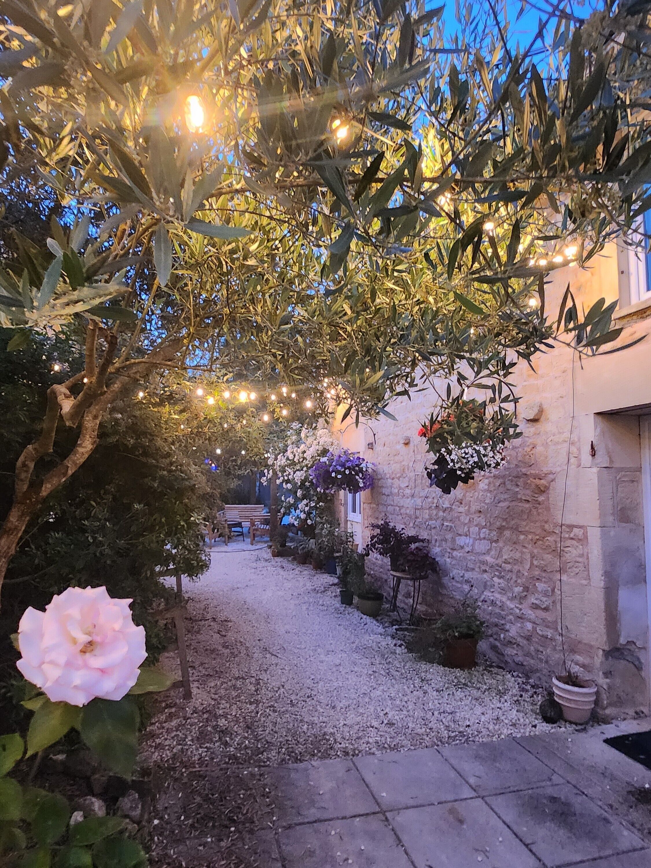 Área da propriedade