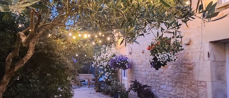 Área da propriedade