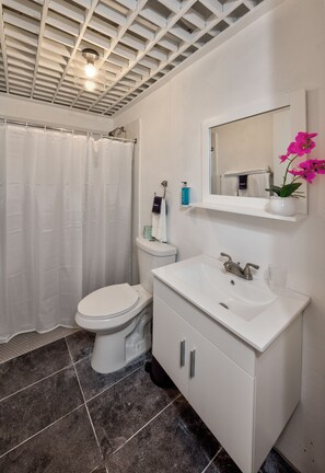 Apartment, 1 Queen-Bett und Schlafsofa | Badezimmer | Dusche, Handtücher, Seife, Shampoo