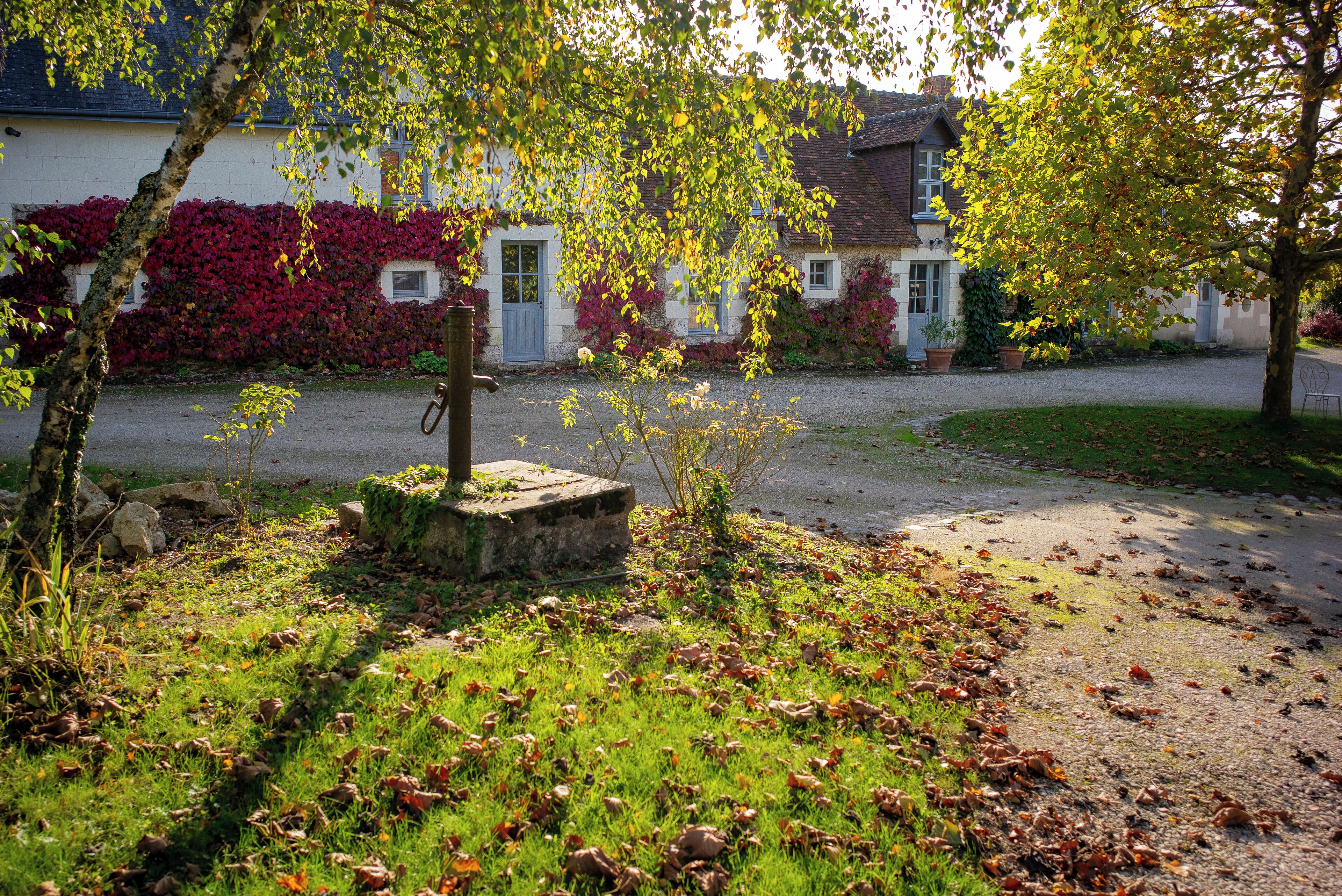 Área da propriedade