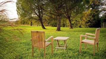 Áreas de la propiedad