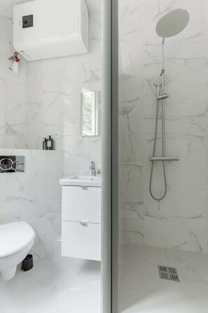 Shower, hair dryer, shampoo - Studio de charme et cosy au cœur de Alésia (Paris)