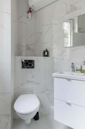 Shower, hair dryer, shampoo - Studio de charme et cosy au cœur de Alésia (Paris)