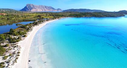 Emma's downtown Eco design rooms