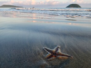 Beach - 2 Bedroom Ground Floor Condo - with the sand at your feet. (Rincón de Guayabitos)