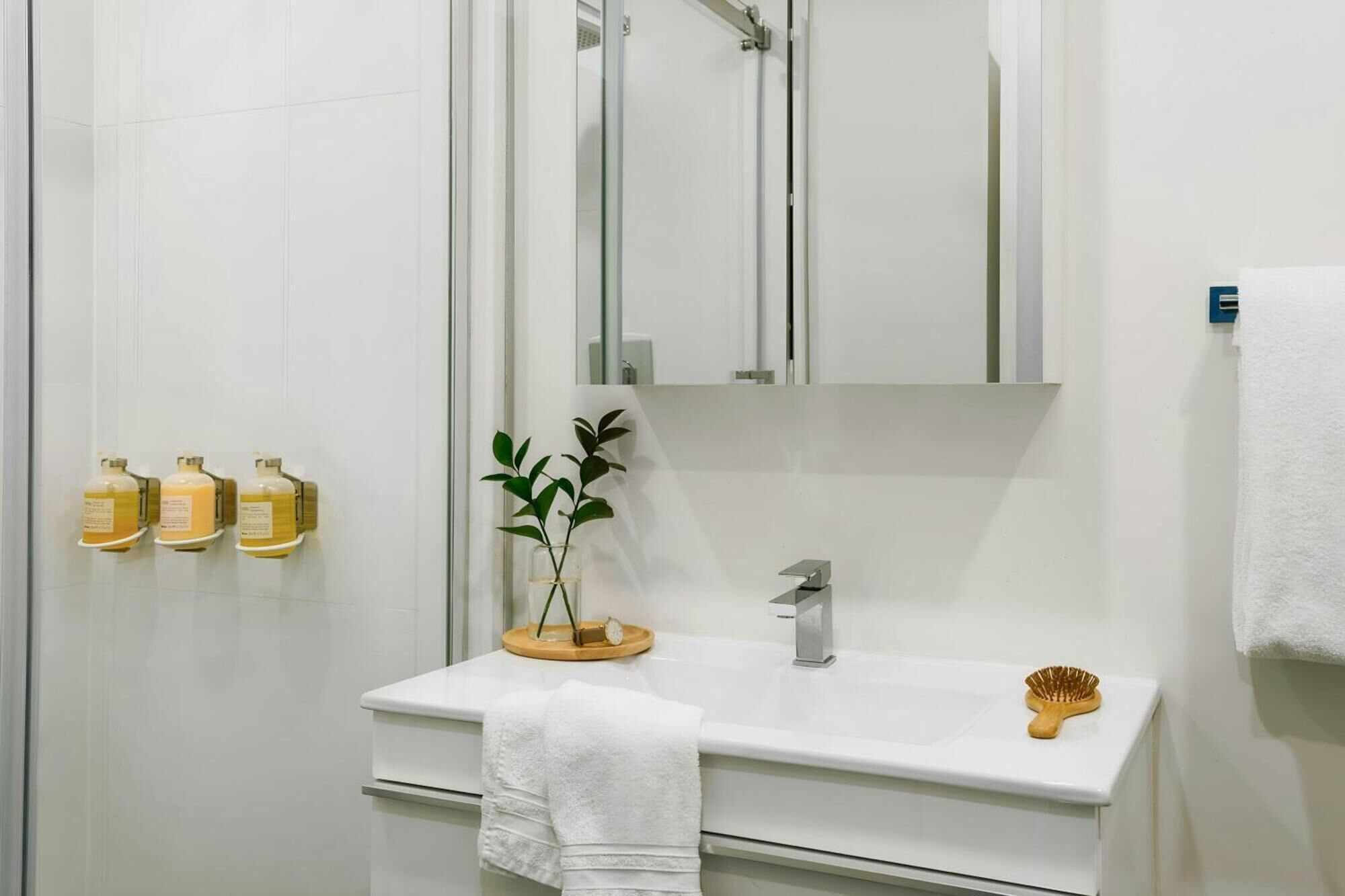 Ducha, secador de pelo, toallas y champú