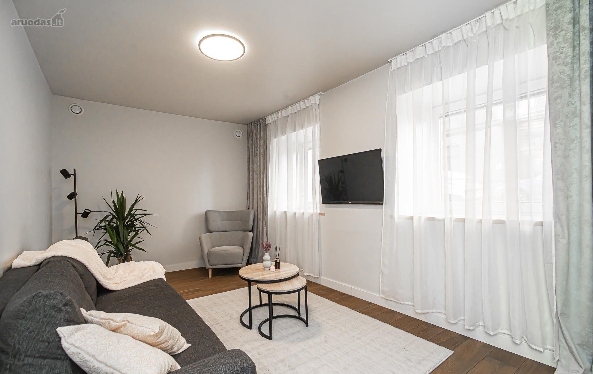 Un salon avec un canapé gris, une table basse ronde, un fauteuil gris, une plante en pot, un lampadaire et un téléviseur fixé au mur.