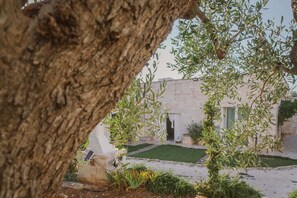 Property grounds - Harmonia trulli with swimming pool - Alberobello (Alberobello)