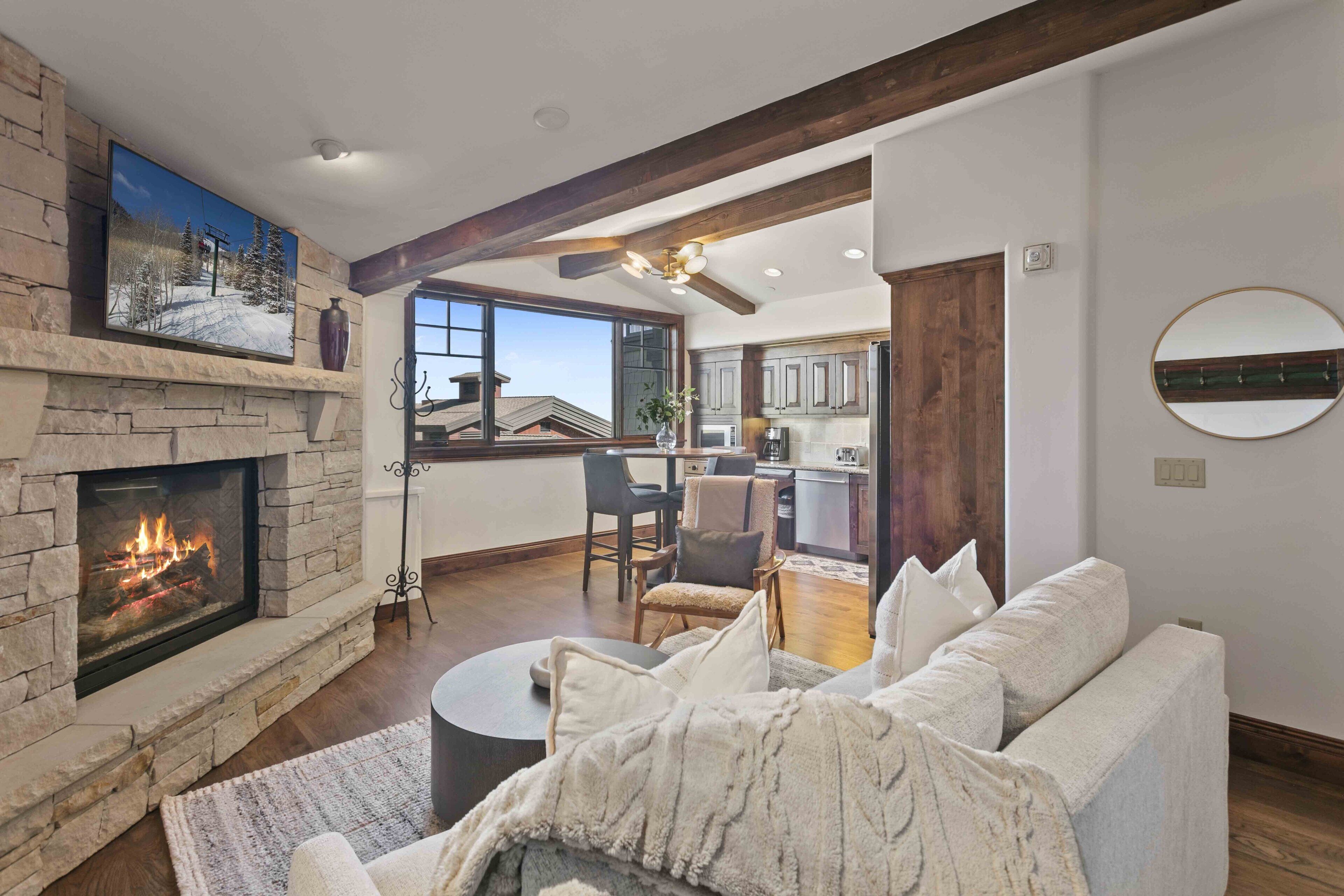 TV, fireplace, books