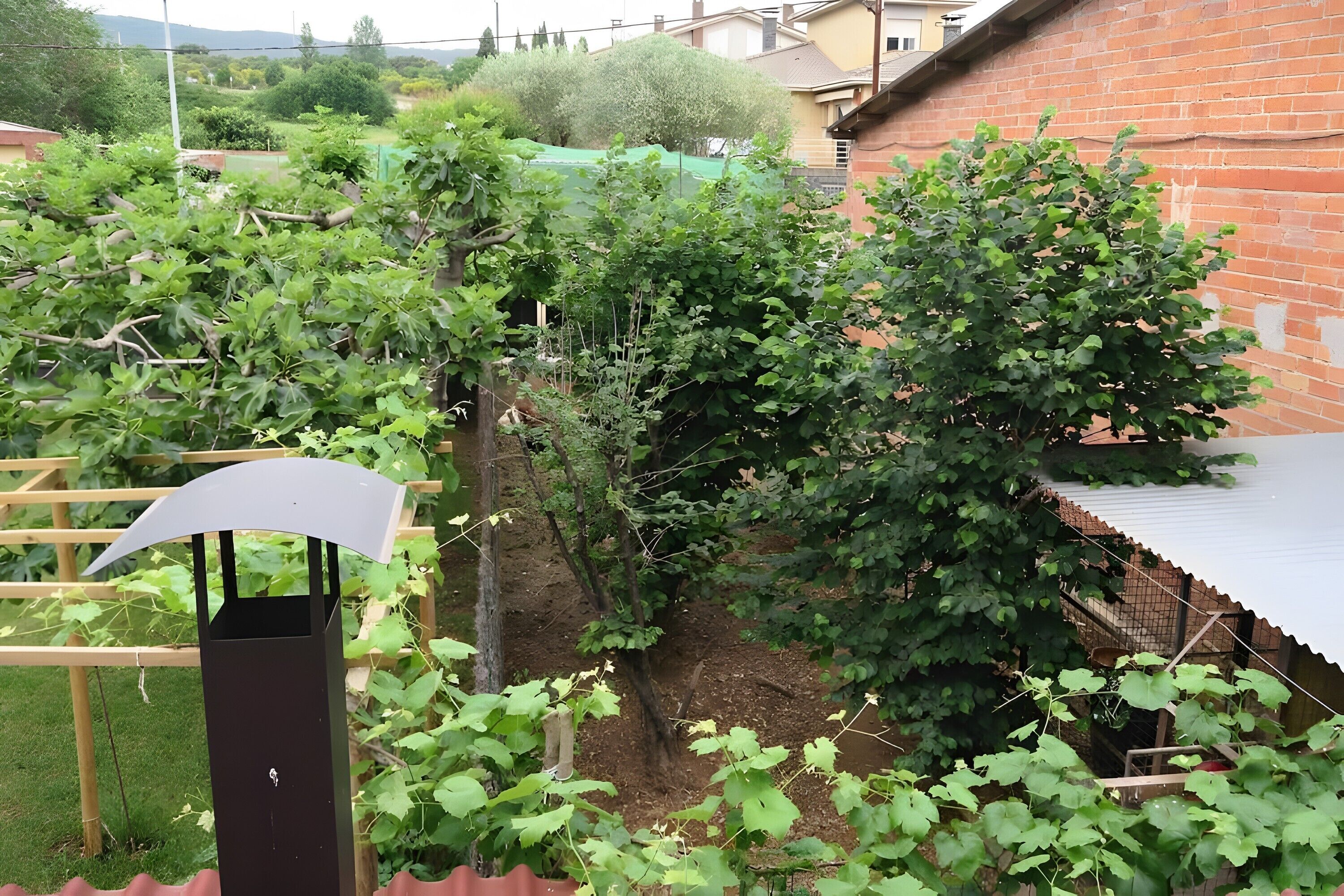 Enceinte de l’hébergement