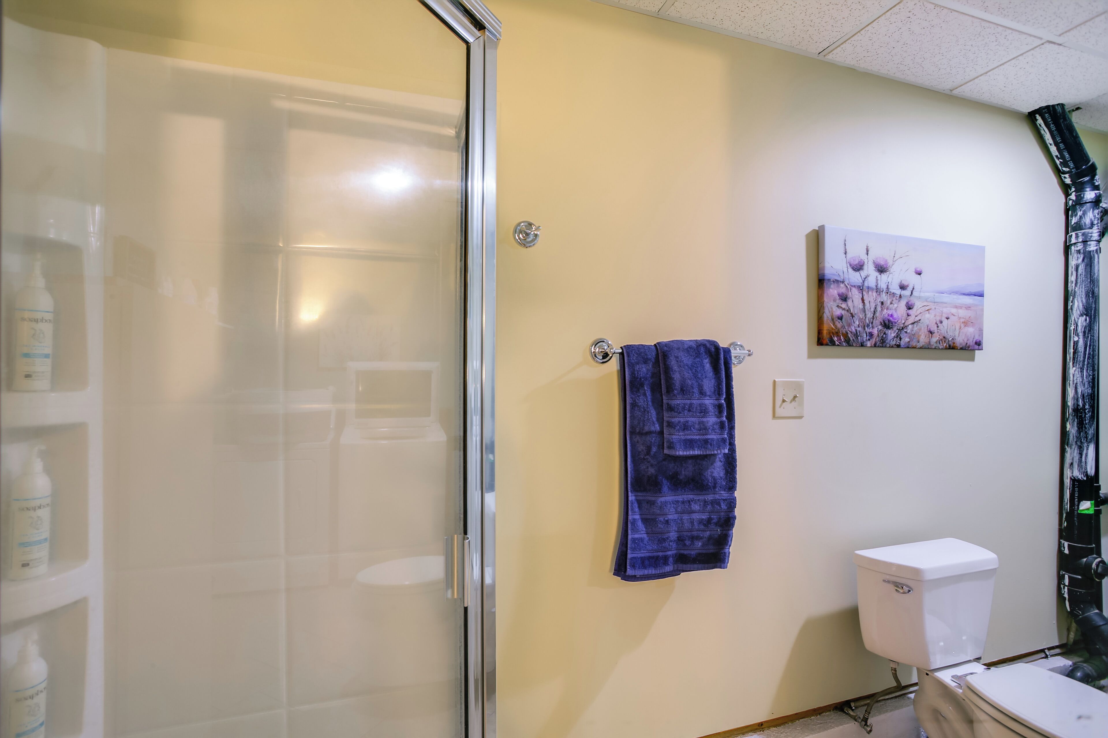 A bathroom with a glass shower enclosure, a toilet, and a shelf with toiletries.