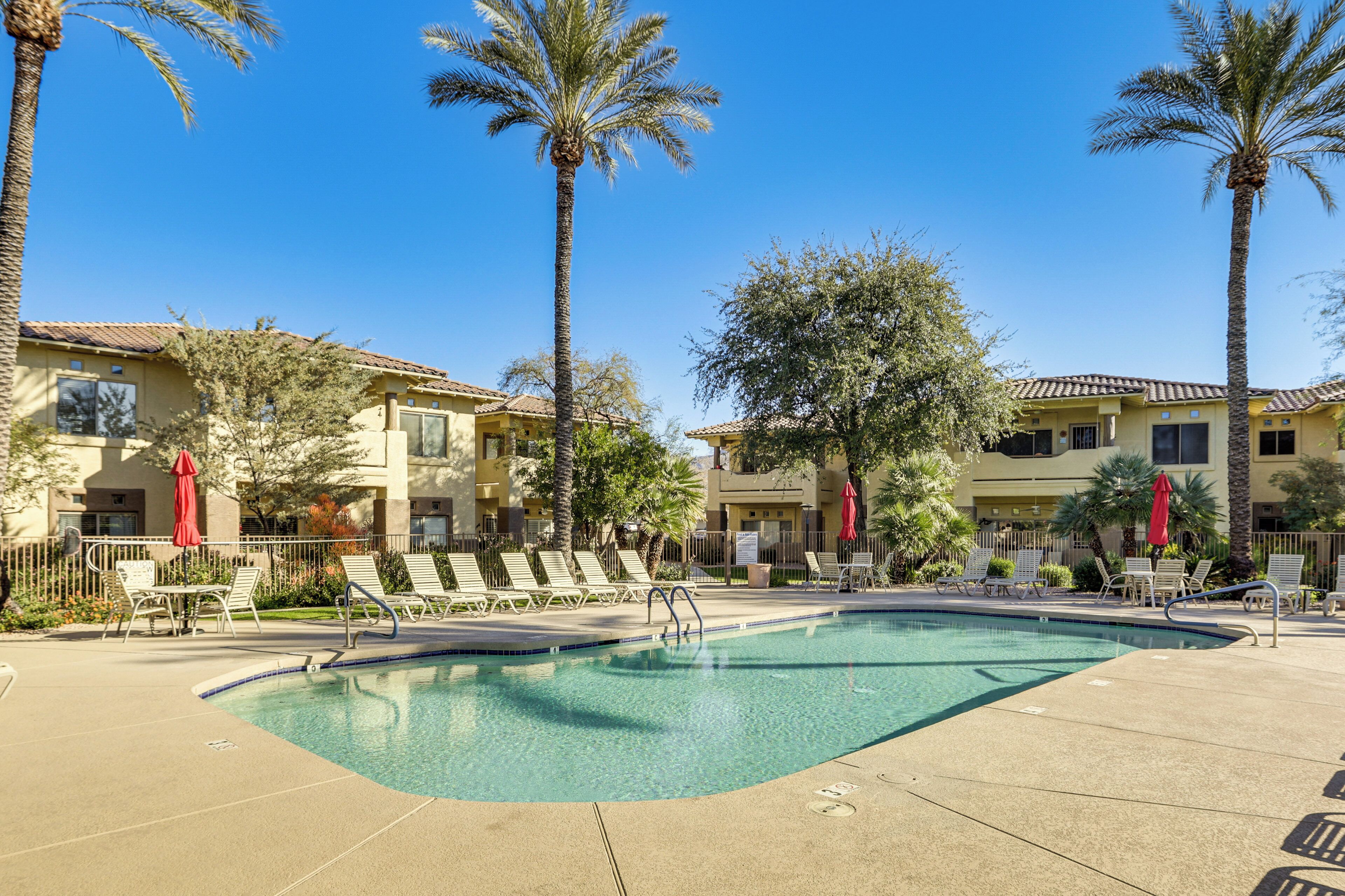 A pool area with lounge chairs and palm trees.