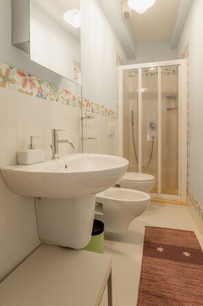 Ducha, secador de pelo y toallas