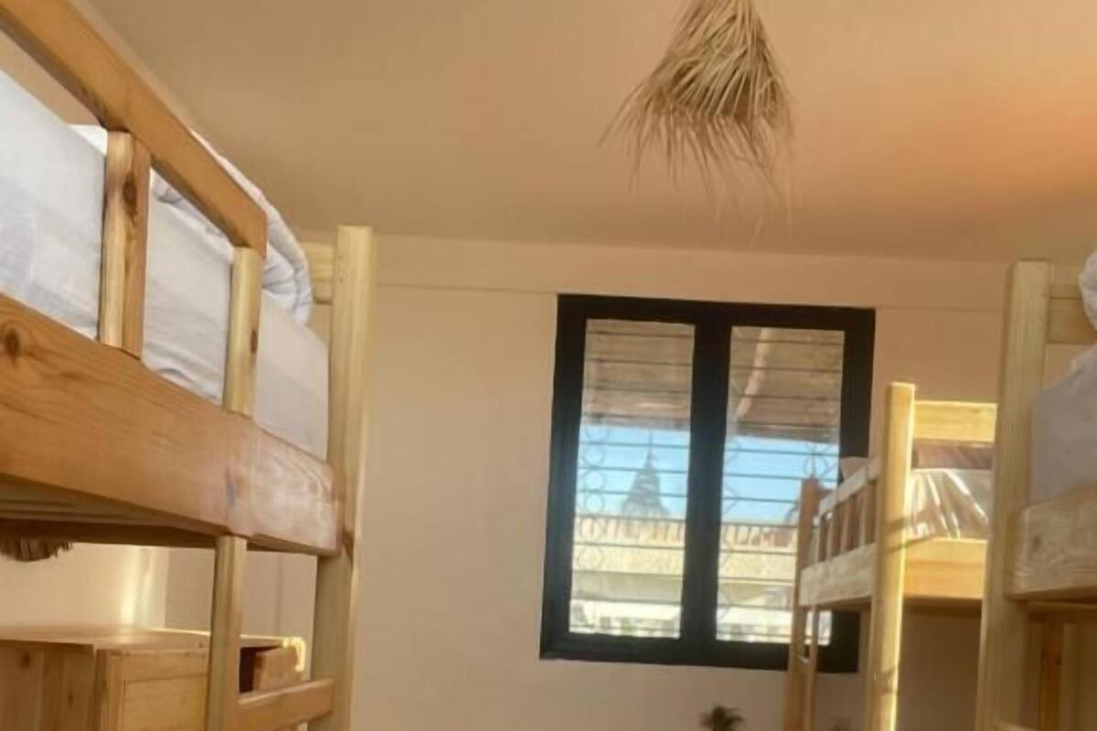 Ein Zimmer mit Etagenbetten, einem gemusterten Boden, einem Fenster mit Ausblick und einem kleinen Tisch mit einer Pflanze.