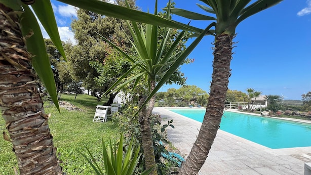 Un espace aménagé au bord de la piscine, offrant une vue dégagée sur celle-ci, et entouré de palmiers et d’une pelouse verdoyante.