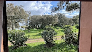 Une vue à travers une fenêtre sur un jardin avec un sentier, des arbres et un petit bâtiment en arrière-plan.