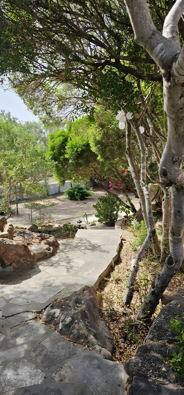 Jardines del alojamiento