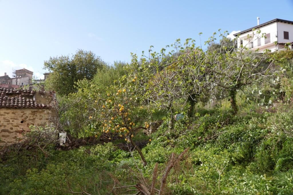 Standard Double Room | Property grounds