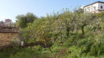 Standard Double Room | Property grounds