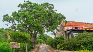 Un vialetto in pietra conduce a un edificio con tetto in tegole, immerso nel verde e segnalato da un cartello di legno.
