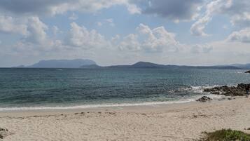 Playa en los alrededores