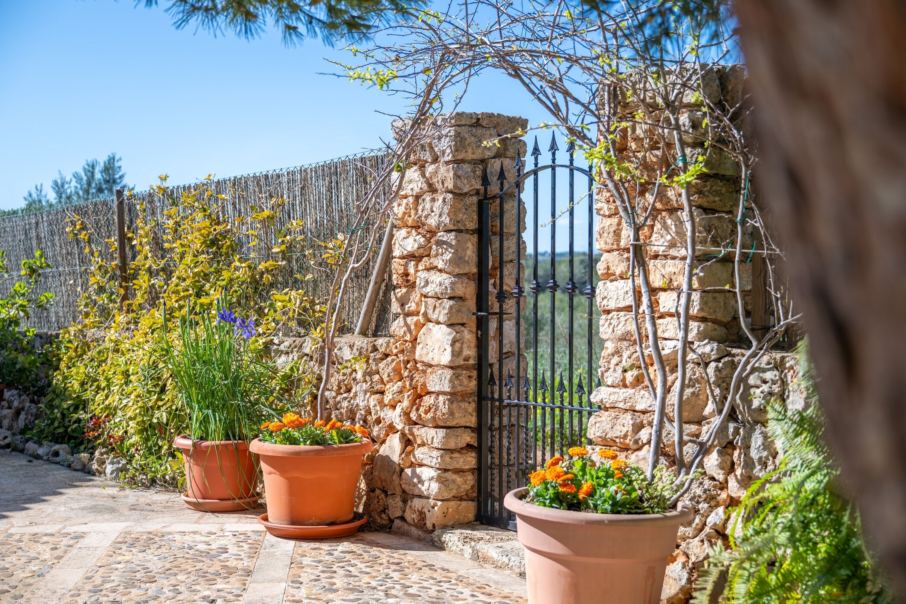 Jardines del alojamiento