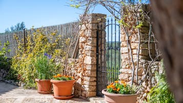 Parco della struttura