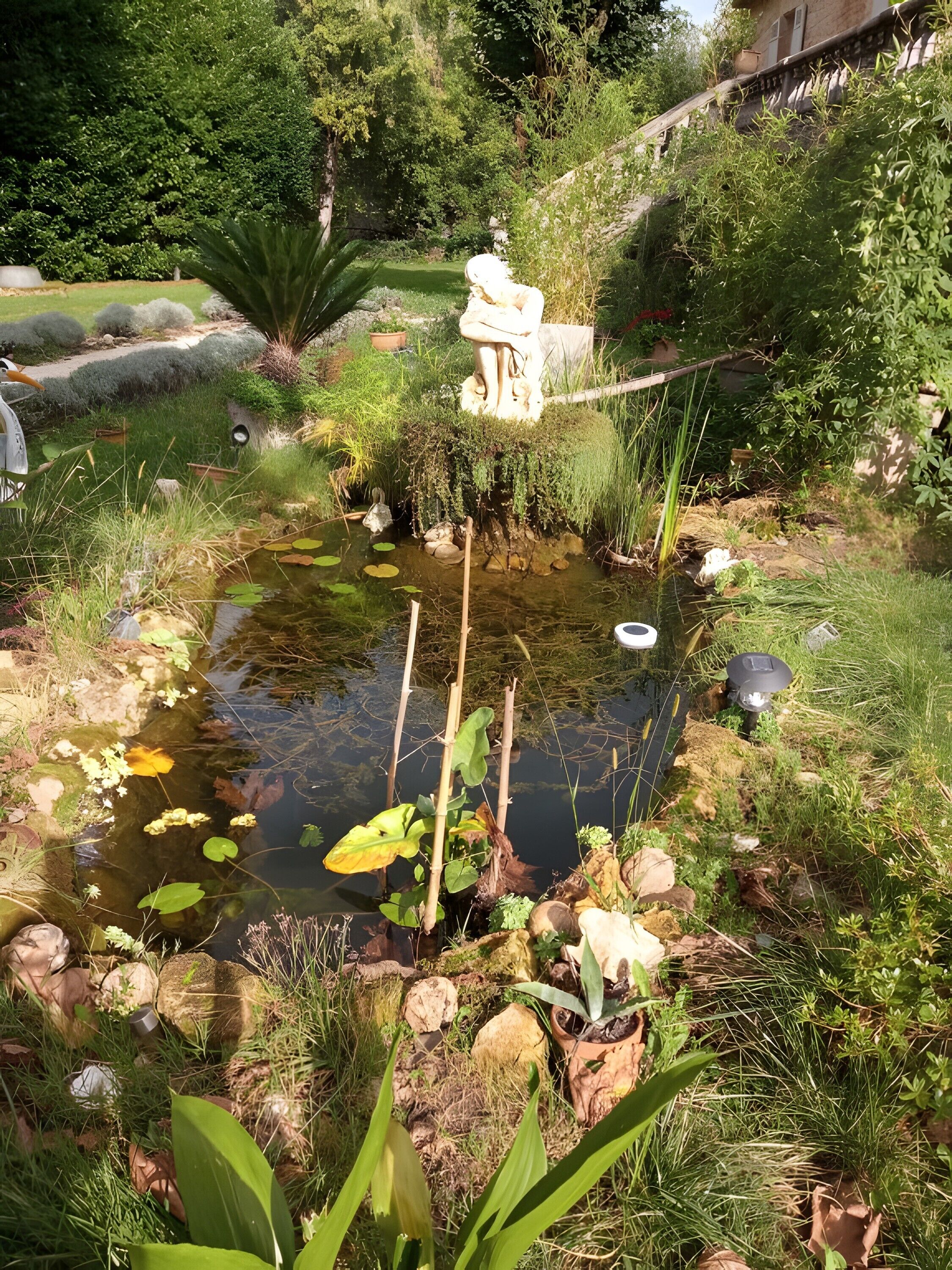 Jardines del alojamiento