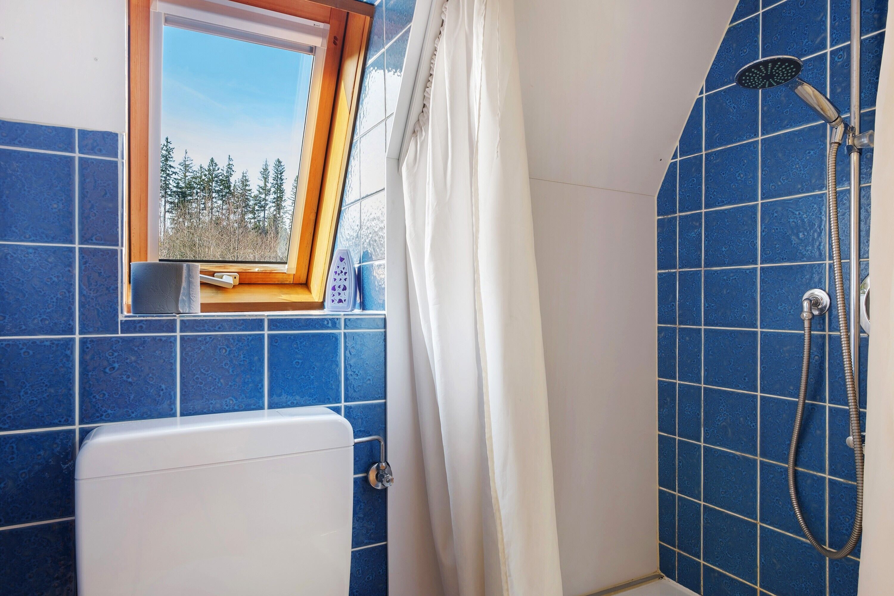 Shower, hair dryer, towels, toilet paper