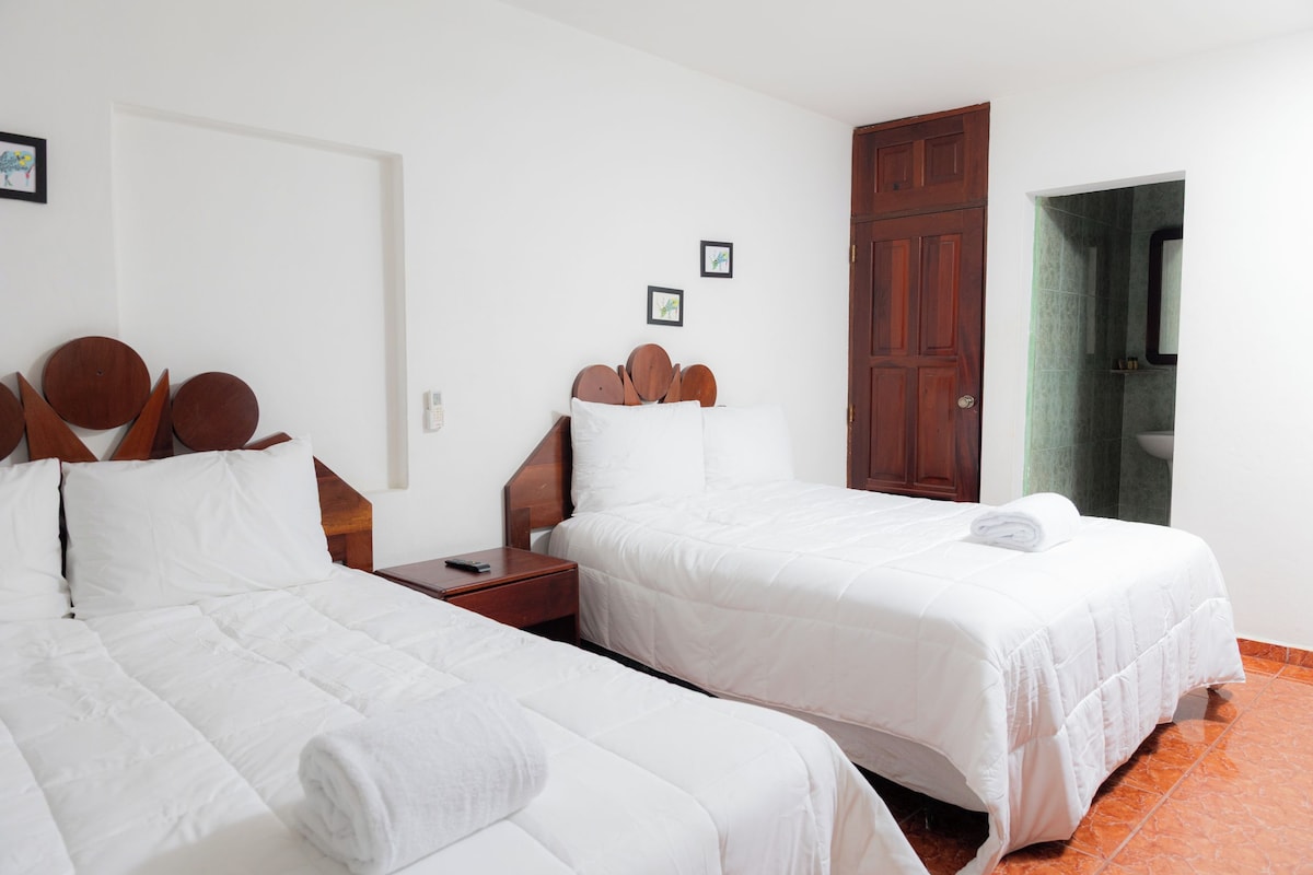 Habitación Confort, en el área del jardín | Caja de seguridad en la habitación y cunas gratuitas 