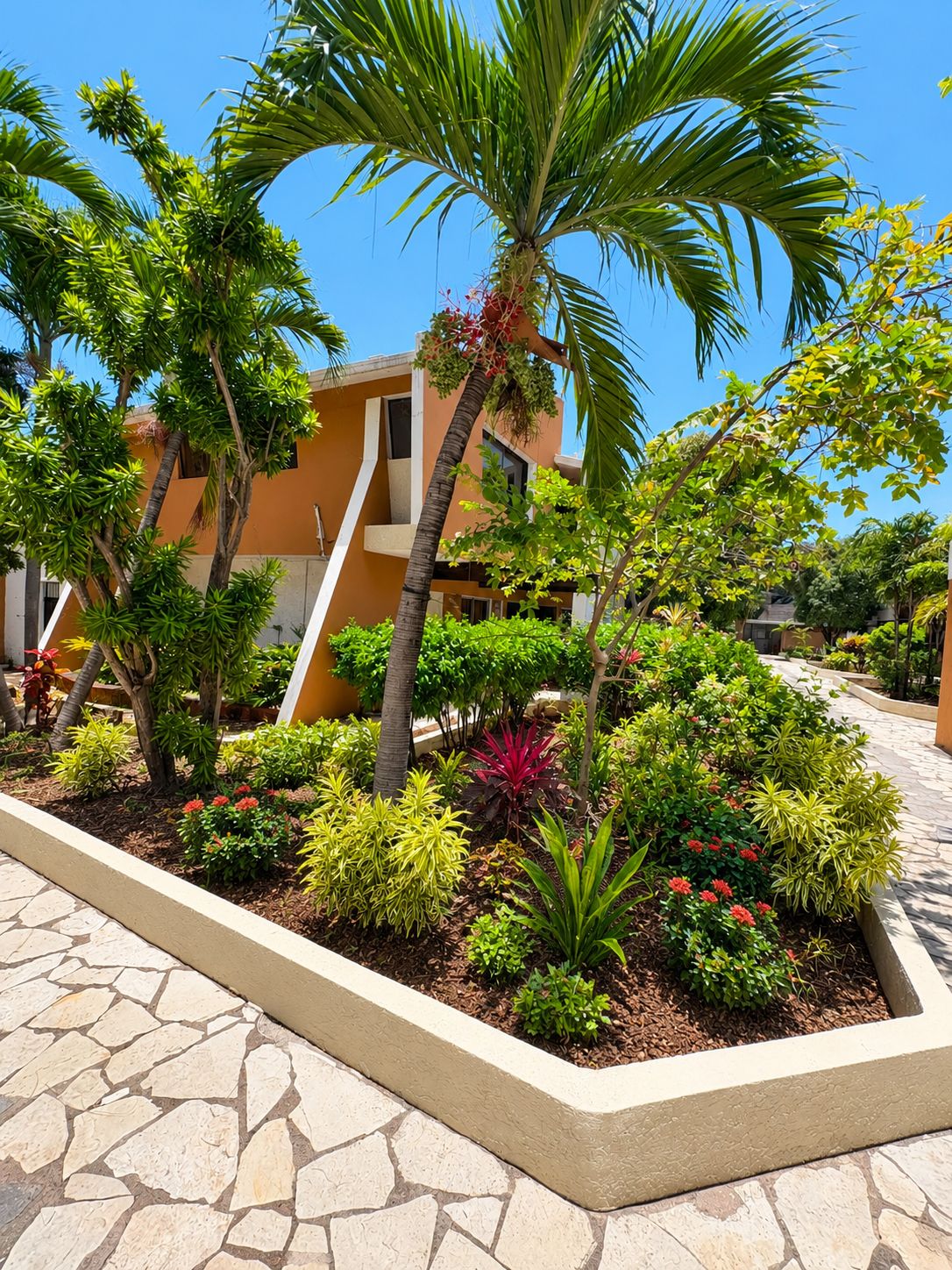Zona ajardinada con diversas plantas y una palmera, rodeada por un edificio de fachada color beige y un sendero de piedra.