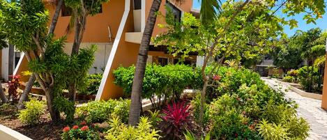 Zona ajardinada con diversas plantas y una palmera, rodeada por un edificio de fachada color beige y un sendero de piedra.