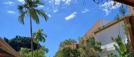 Un patio con palmeras, una piscina y edificios de estilo arquitectónico moderno.