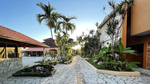Un chemin pavé, recouvert de dalles de pierre, bordé de palmiers et de différentes plantes, mène à un bâtiment surmonté d’un toit rouge.