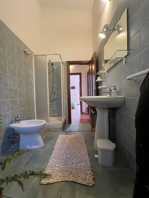 Regadera, secadora de cabello, bidet, toallas 