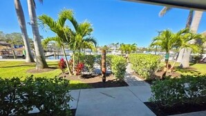 Un camino pavimentado que conduce a un puerto deportivo con palmeras y una zona verde.