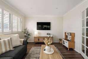 Fernseher, Kamin