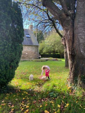 Terrein van de accommodatie