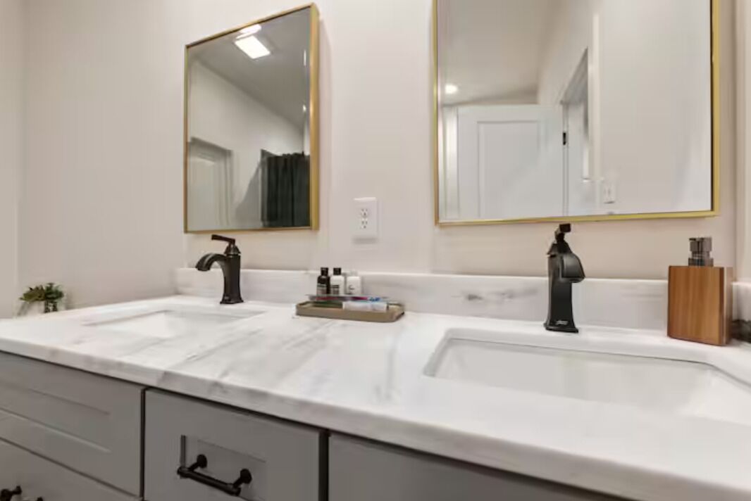 Une salle de bain avec deux lavabos, un miroir et une petite plante.