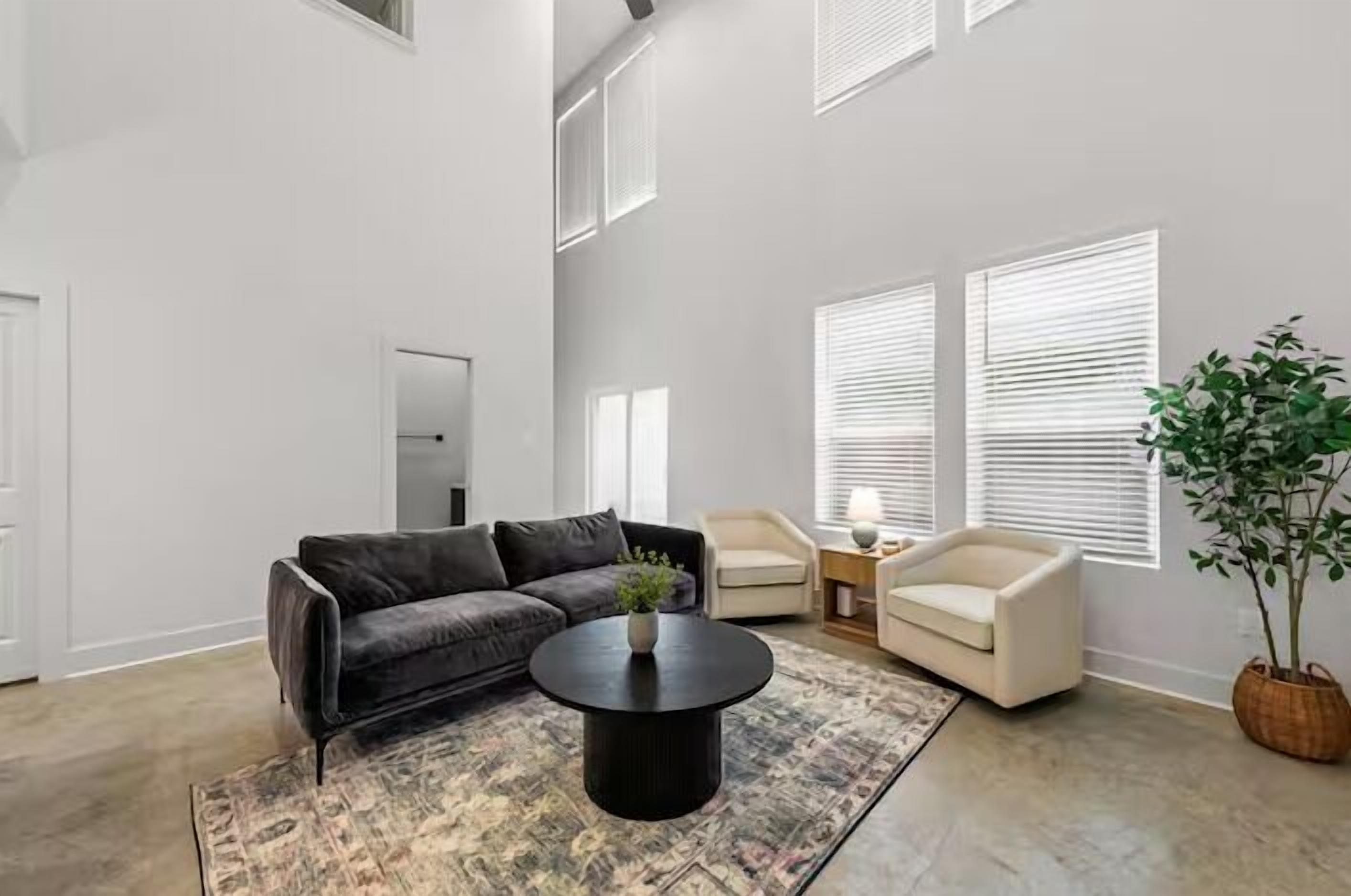 A spacious living room with a dark sofa, a round coffee table, and a potted plant.