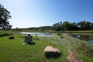 Property grounds - Hudson’s Hideaway (Johnson City)