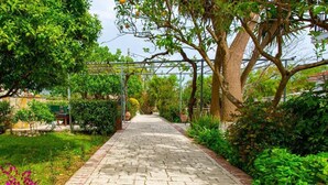 A paved garden pathway flanked by lush greenery and trees. - Zante Apts (Laganas)