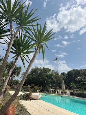 Una piscina amb aigua transparent de color blau, envoltada de palmeres i un jardí amb mobiliari d'exterior.