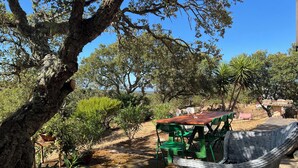 Una zona relax all'aperto con un tavolo di legno e sedie verdi, circondata da alberi e piante.
