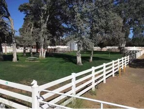 Property grounds - Big Yosemite Mansion Large Groups Pinemt Lake (Groveland)