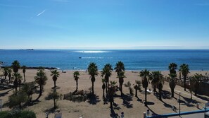Een strand met palmbomen, een hek en een helderblauwe lucht.