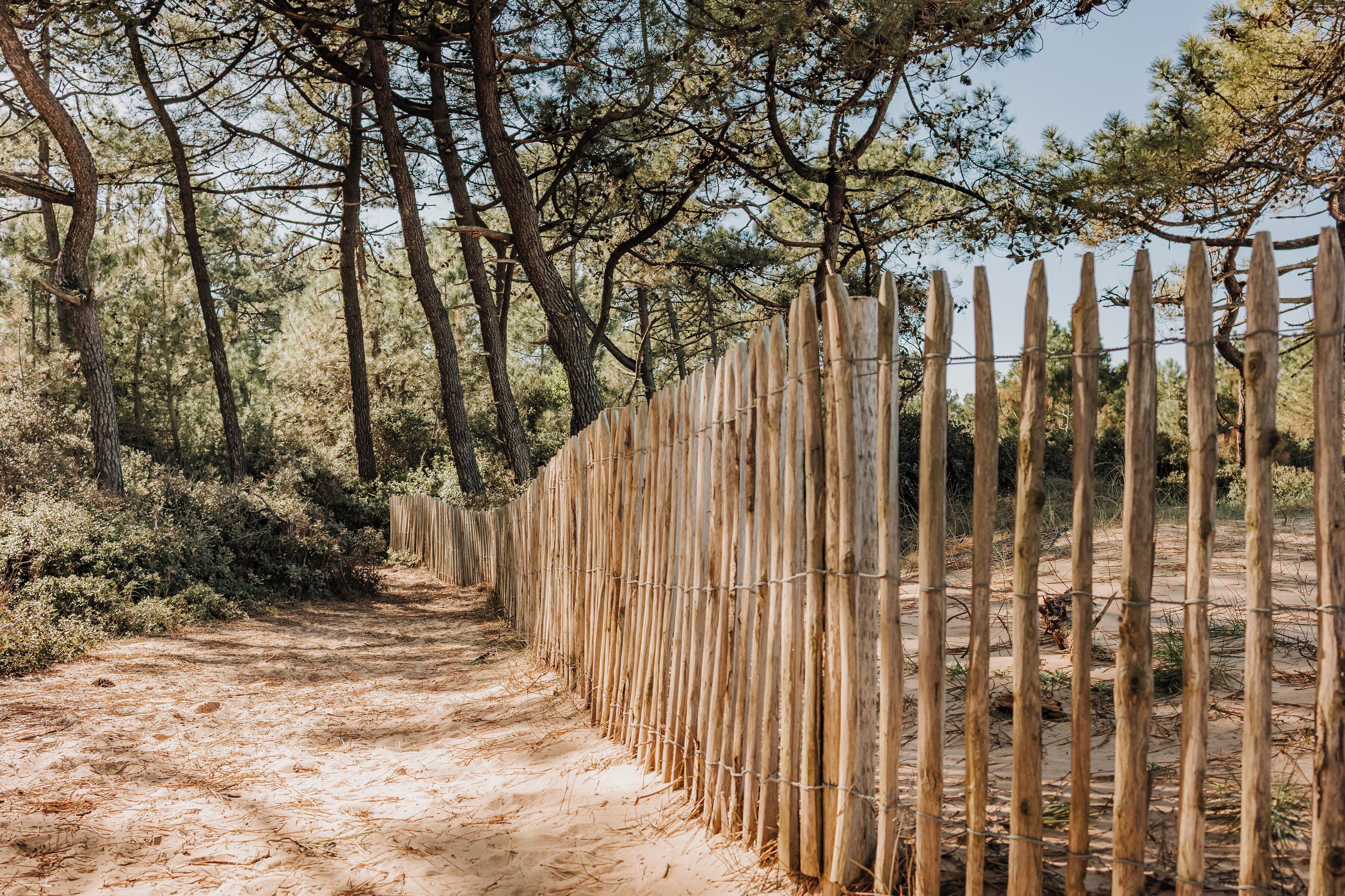 A dirt path flanked by a bamboo fence with trees in the background.